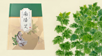 【行業(yè)資訊】國內(nèi)首部艾草專著《南陽艾》，在南陽新書首發(fā)！